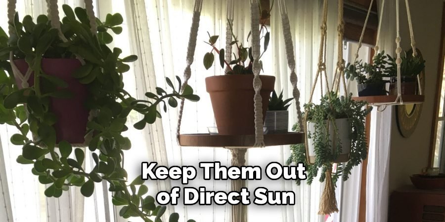 Keep Them Out 
of Direct Sun