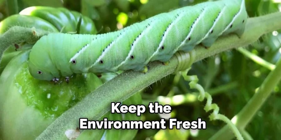 Keep the
Environment Fresh