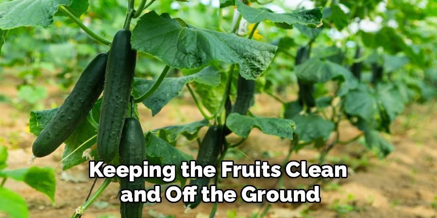 Keeping the Fruits Clean 
and Off the Ground