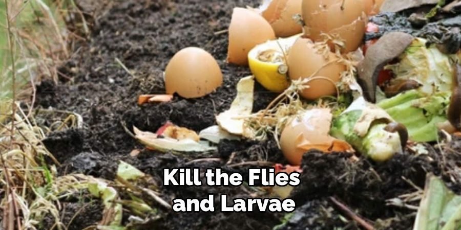 Kill the Flies 
and Larvae