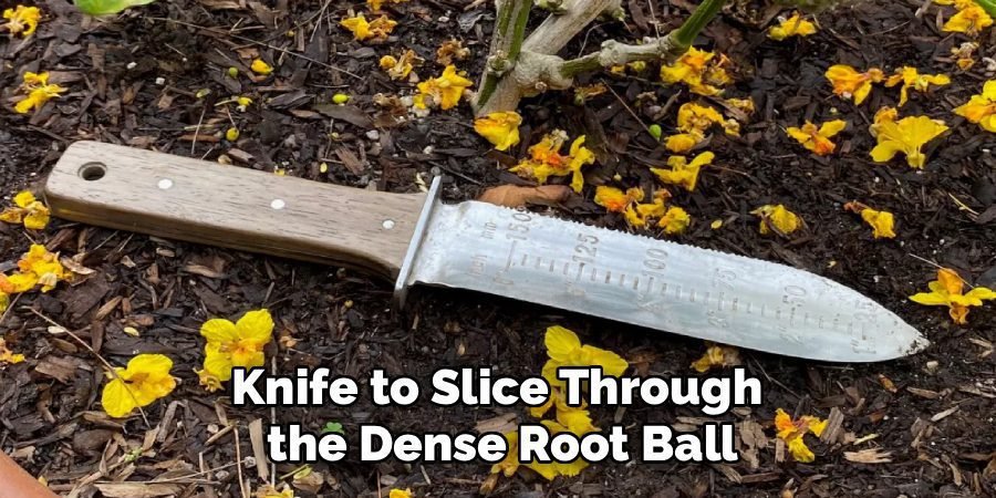 Knife to Slice Through
the Dense Root Ball