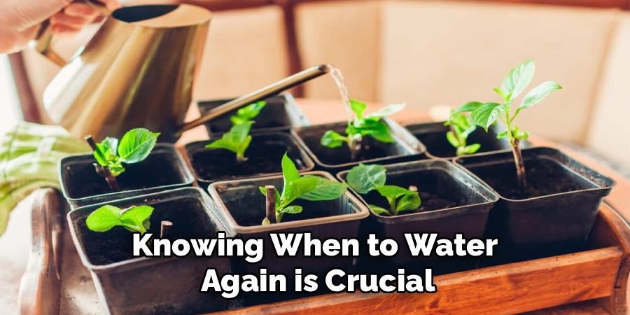 Knowing When to Water 
Again is Crucial