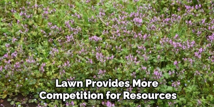 Lawn Provides More
Competition for Resources