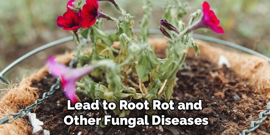 Lead to Root Rot and 
Other Fungal Diseases