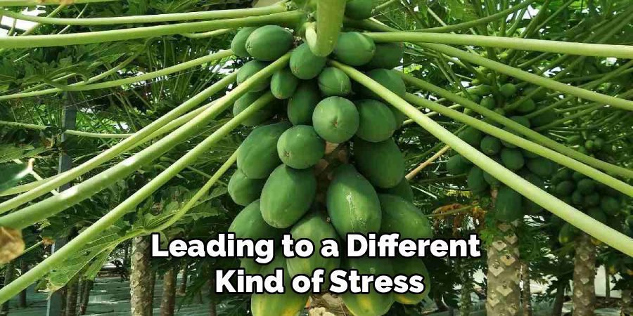 Leading to a Different 
Kind of Stress