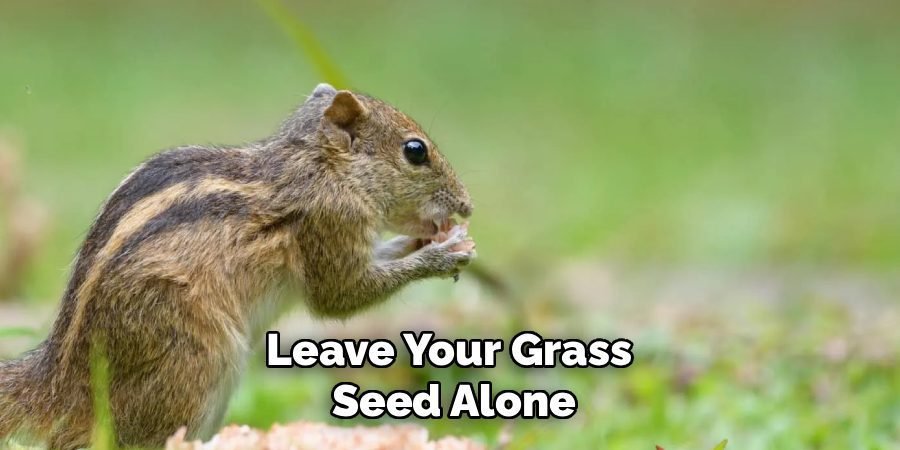 Leave Your Grass
Seed Alone