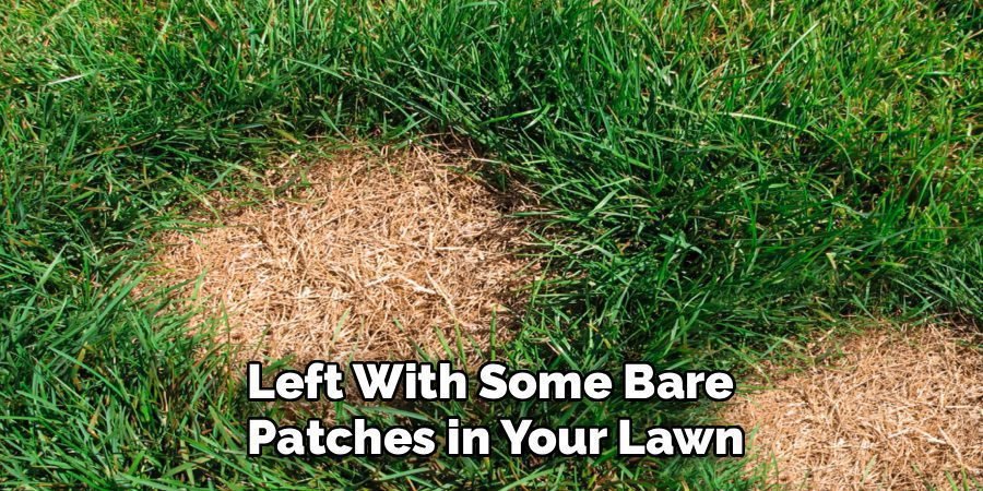 Left With Some Bare
Patches in Your Lawn