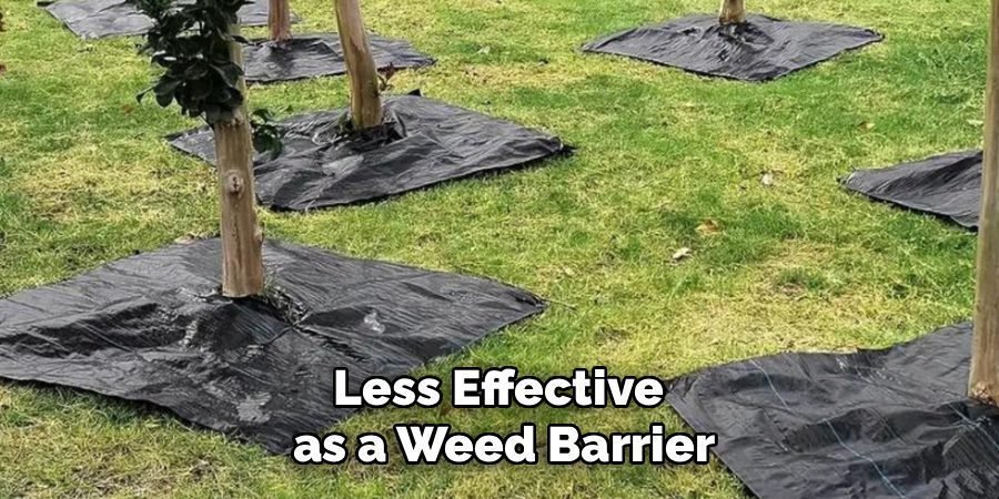 Less Effective 
as a Weed Barrier