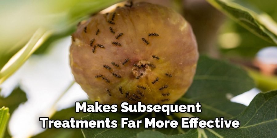Makes Subsequent
Treatments Far More Effective