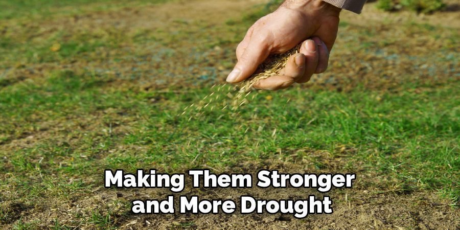 Making Them Stronger 
and More Drought