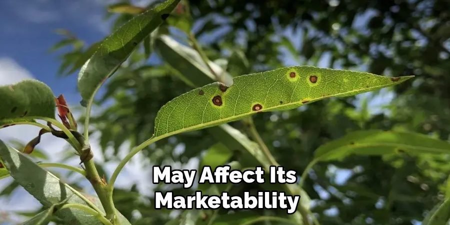 May Affect Its 
Marketability