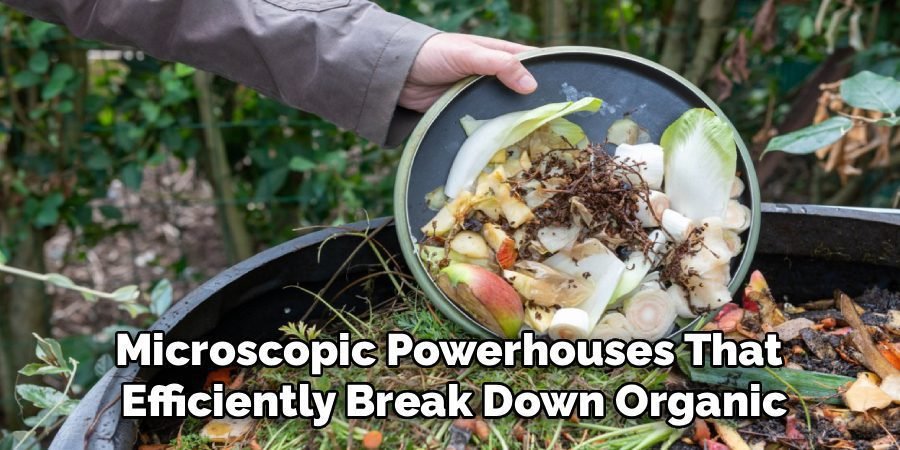 Microscopic Powerhouses That 
Efficiently Break Down Organic