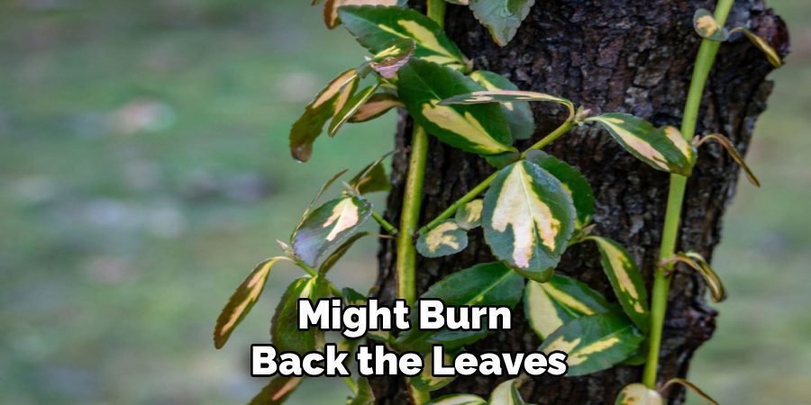 Might Burn 
Back the Leaves