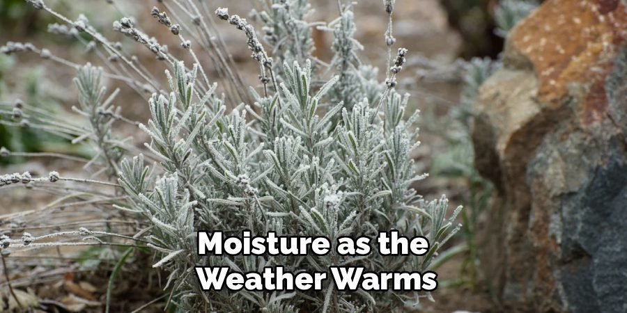 Moisture as the 
Weather Warms