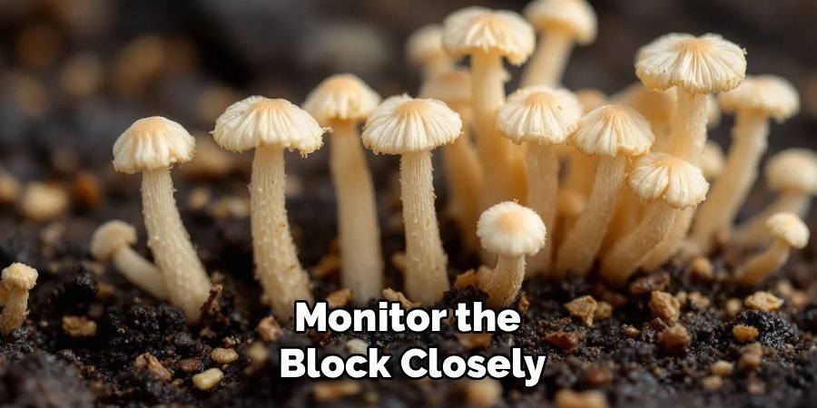 Monitor the 
Block Closely