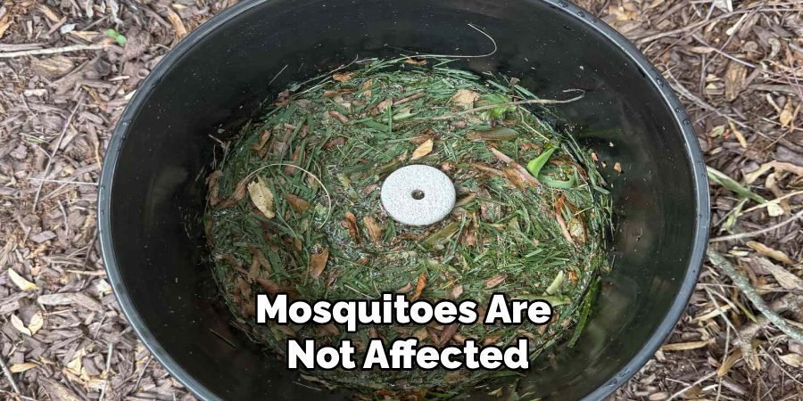 Mosquitoes Are
Not Affected