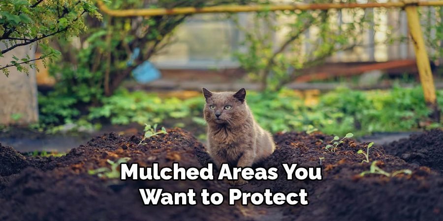 Mulched Areas You 
Want to Protect