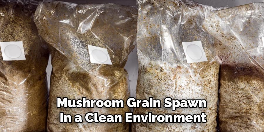 Mushroom Grain Spawn
in a Clean Environment