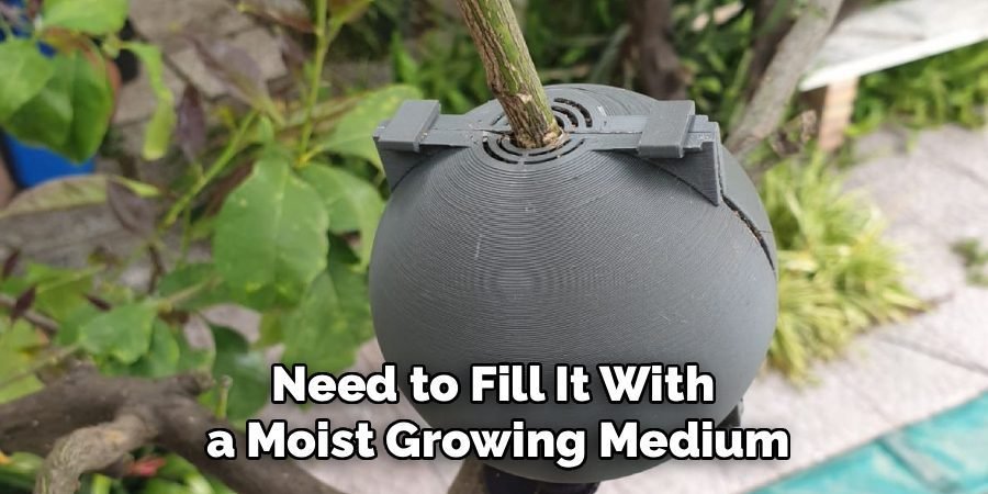 Need to Fill It With
a Moist Growing Medium