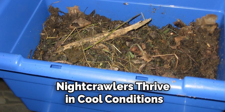 Nightcrawlers Thrive
in Cool Conditions