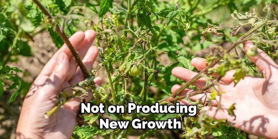 Not on Producing
New Growth