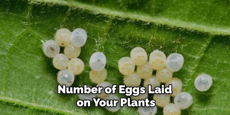 Number of Eggs Laid 
on Your Plants