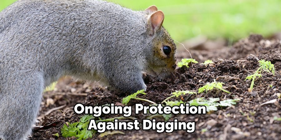Ongoing Protection
Against Digging