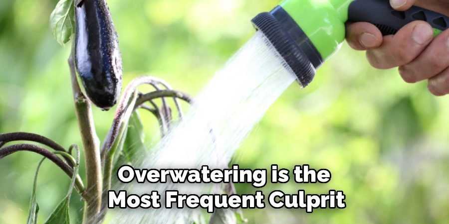 Overwatering is the
Most Frequent Culprit