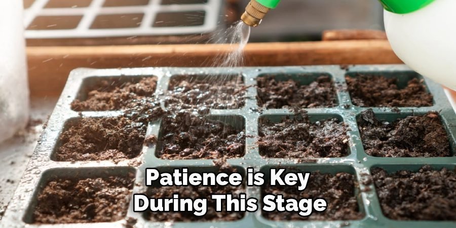 Patience is Key 
During This Stage