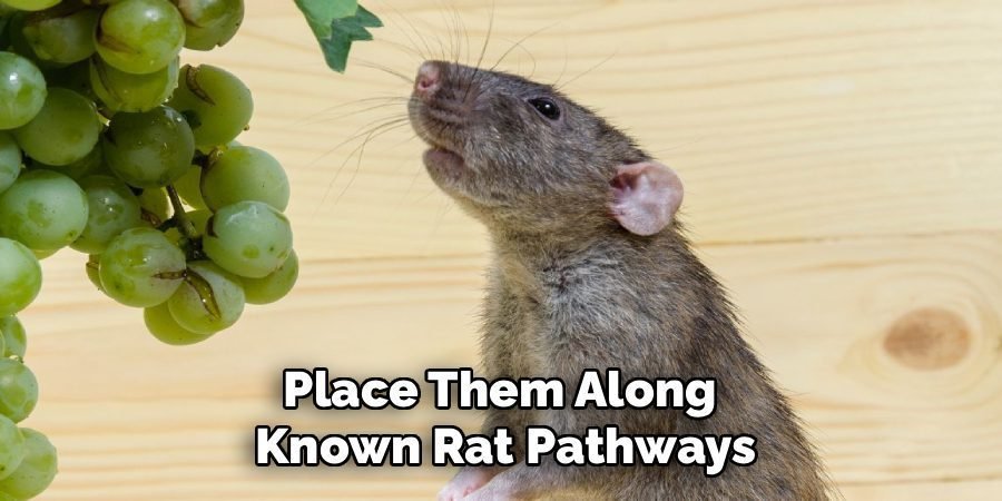 Place Them Along 
Known Rat Pathways