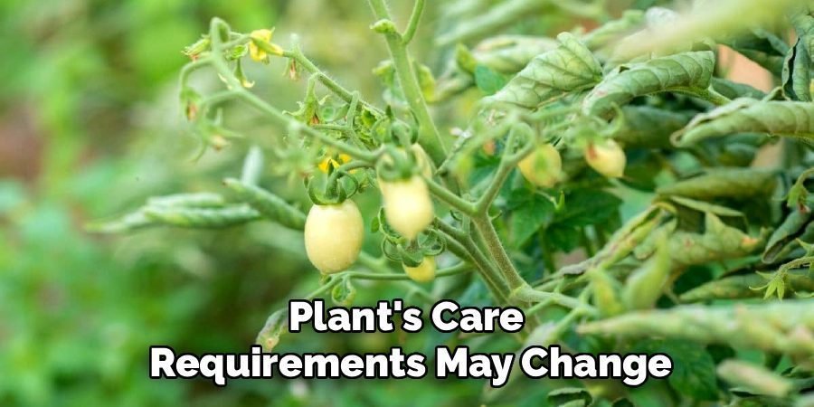 Plant's Care
Requirements May Change