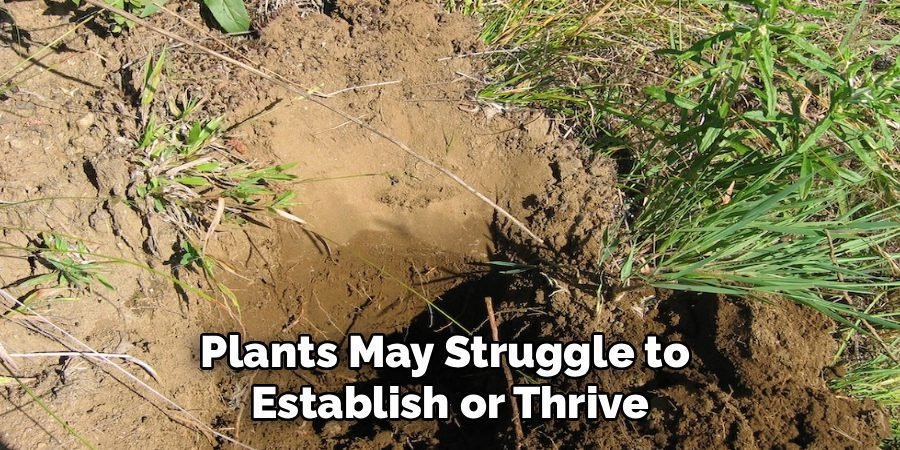 Plants May Struggle to 
Establish or Thrive