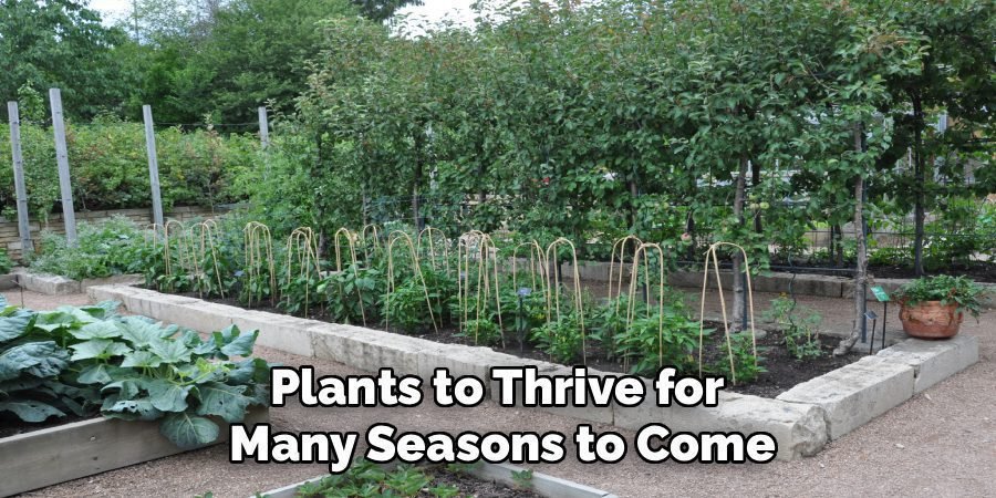 Plants to Thrive for 
Many Seasons to Come