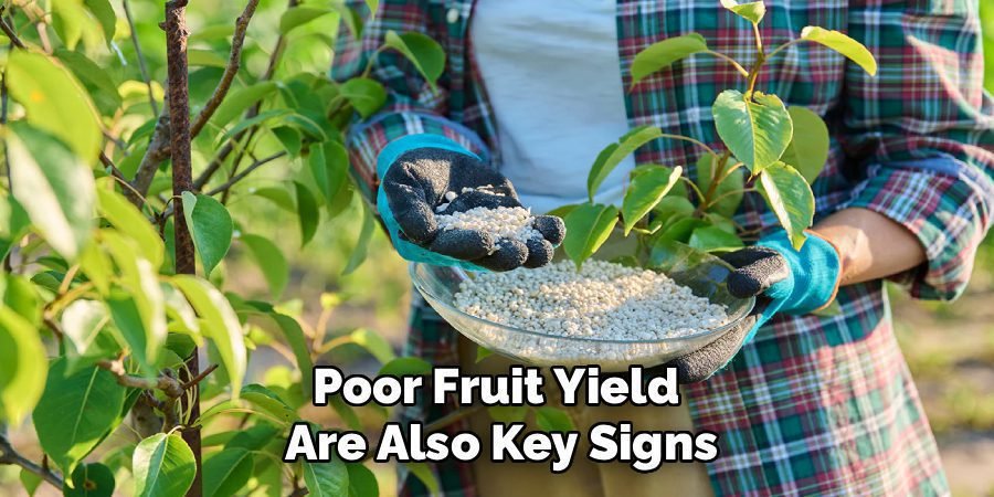 Poor Fruit Yield
Are Also Key Signs