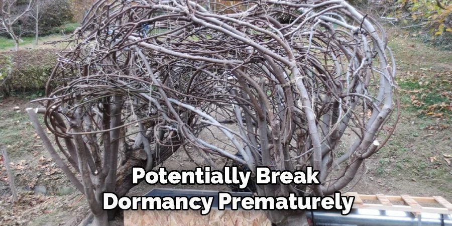 Potentially Break 
Dormancy Prematurely