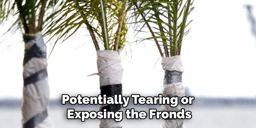 Potentially Tearing or 
Exposing the Fronds
