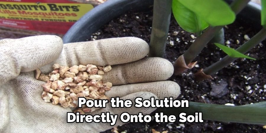 Pour the Solution
Directly Onto the Soil