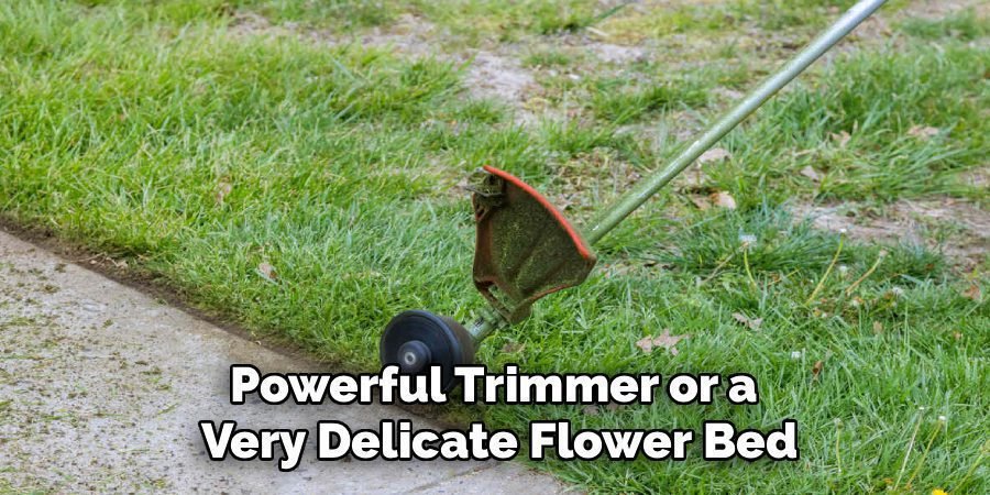 Powerful Trimmer or a 
Very Delicate Flower Bed