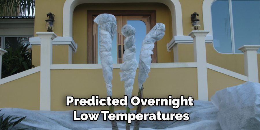 Predicted Overnight 
Low Temperatures