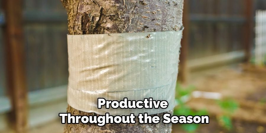 Productive
Throughout the Season