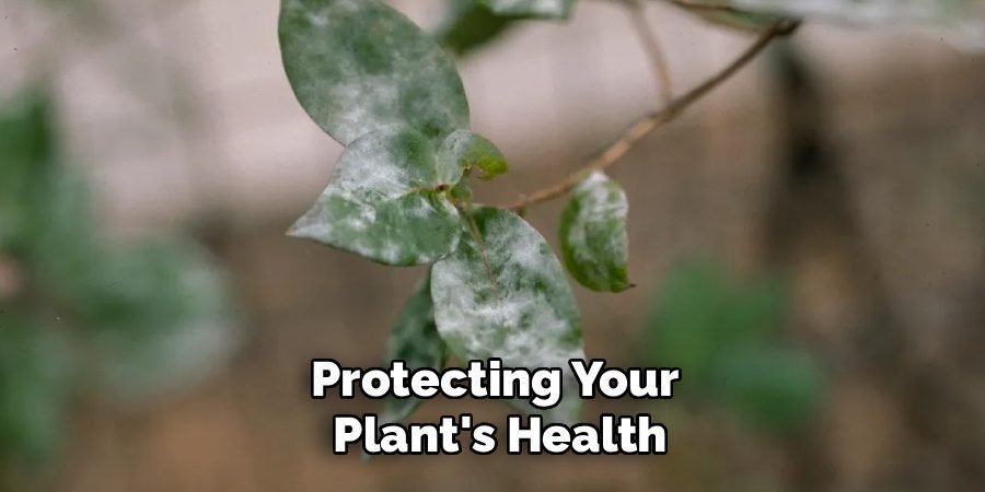 Protecting Your
Plant's Health