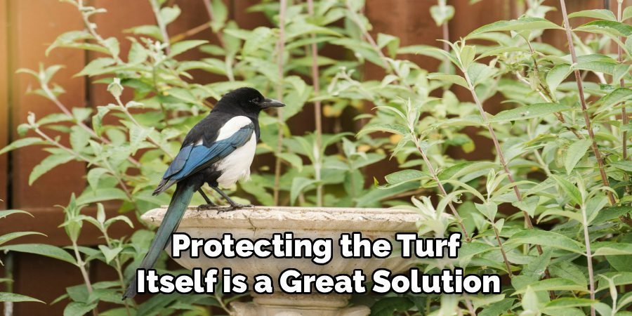Protecting the Turf
Itself is a Great Solution