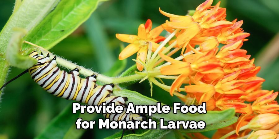Provide Ample Food 
for Monarch Larvae