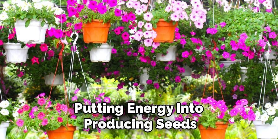 Putting Energy Into 
Producing Seeds