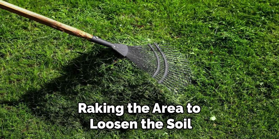 Raking the Area to
Loosen the Soil