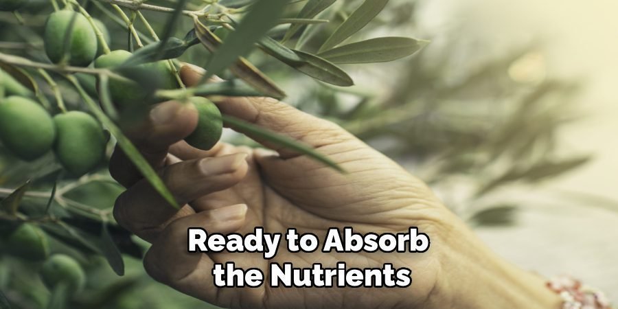 Ready to Absorb
the Nutrients