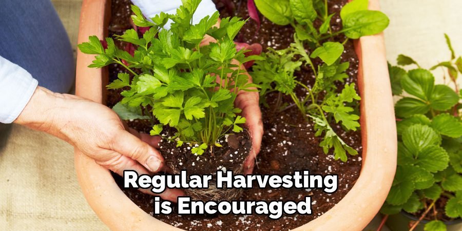 Regular Harvesting
is Encouraged