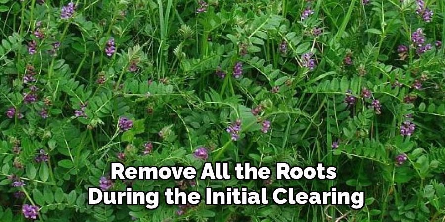 Remove All the Roots 
During the Initial Clearing