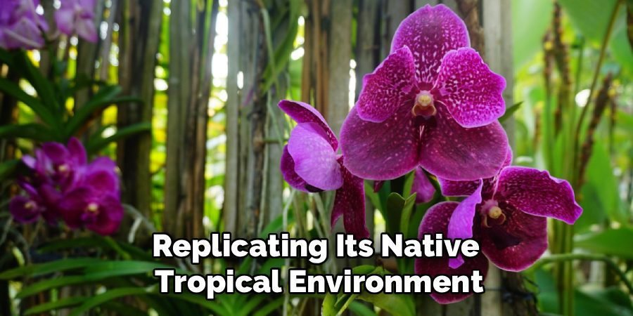 Replicating Its Native
Tropical Environment