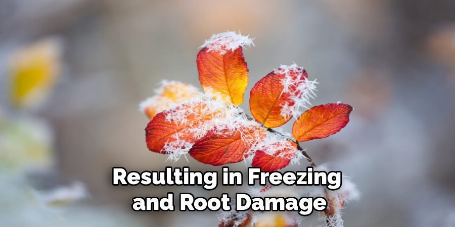 Resulting in Freezing 
and Root Damage